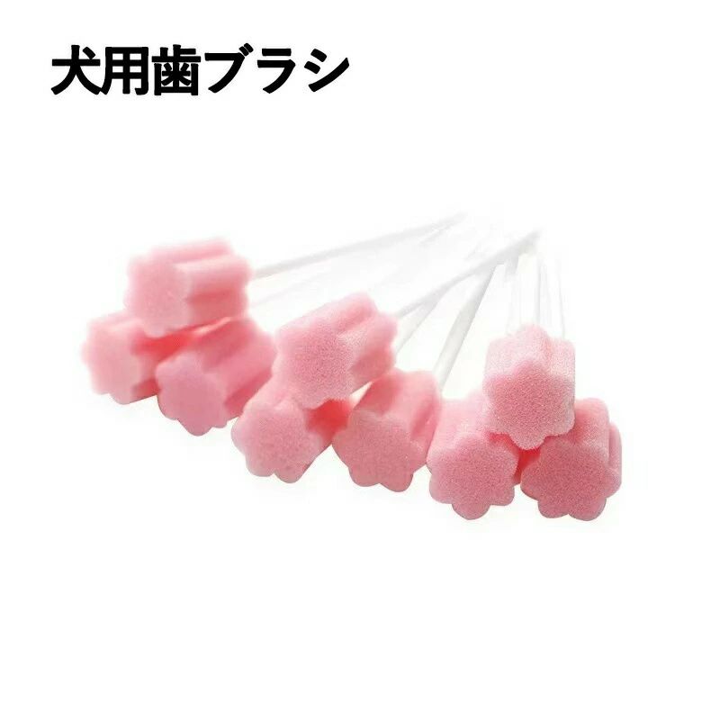 犬 猫 スポンジ 歯ブラシ100本セット 歯磨き 使い捨て 清潔 小さい 柔らかい 低刺激 個別包装 ソフト ..