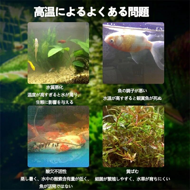 ������ ��� �ե��� �����ѥ����顼 ���� �����顼 ���� USB�� ��ѥե��� ����դ���ñ ����Ĵ���ǽ 2��٥� �岹�����ɻ� �������� ����ƹⲹ�к�