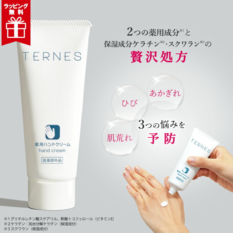 医薬部外品 テルネス薬用ハンドクリーム しっとりサラサラ 仕事前に使える ビタミンE グリチルレチン酸ステアリル 羽毛ケラチン・スクワラン ひどい肌荒れに羽毛ケラチン・無香料・皮膚保護・保湿バリアで手肌を守る 2本で送料無料