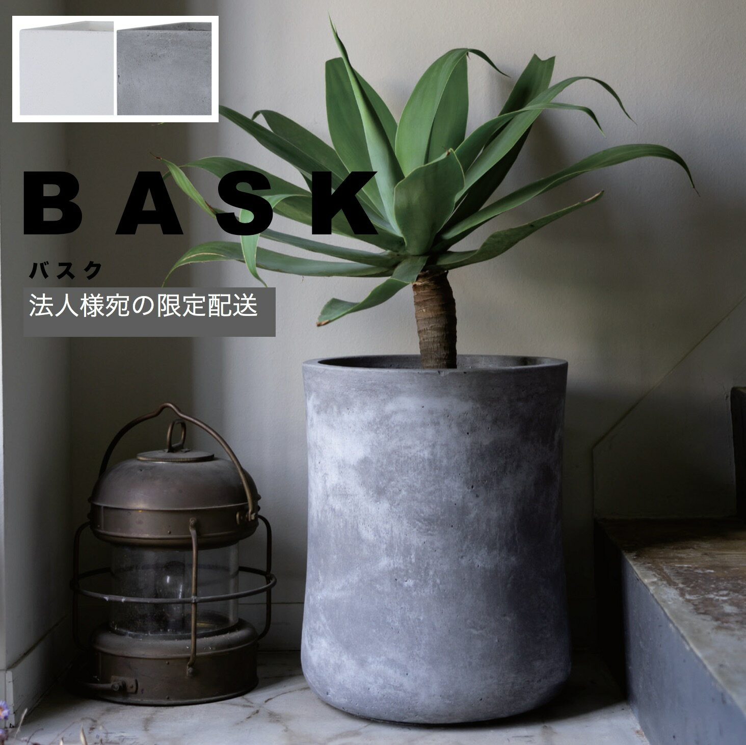 プランター 植木鉢 大型 おしゃれ [法人様への配送限定] 超大型 ファイバークレイ製 バスク ミドル 67L 底穴ありおしゃれ 軽量 軽い FRP コットライト 鉢カバー