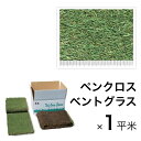 芝 芝生 天然芝 天然芝生 西洋芝マット PC2.0 1平米 寒冷地向け 黒土仕様