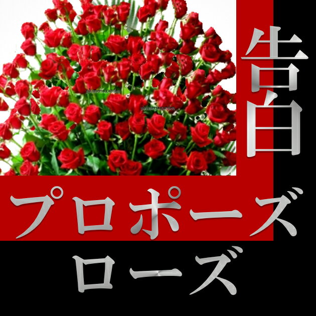 心をつかむ贈り物◆思いをかなえる【プロポーズローズ】【フレッシュブーケ】《個人・法人・企業・団体・ビジネス・ショップ・オフィス》フラワーギフト