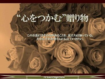 ≪プロポーズローズ≫あなたのドラマをつくる！心をつかむ贈り物♪思いをつかむ!感動の思い出つくり【メガブーケ】で抱きかかえるクラスの【500本】