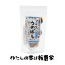 ソルティうめぼし