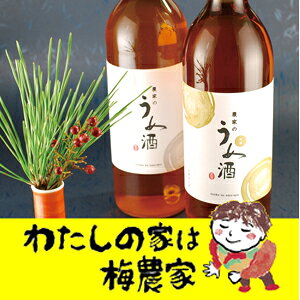 農家の梅酒　720ml入（アルコール度13度）[ぷらむ工房 岩本食品] plumkoubou-10002441 わたしの家は梅農家ぷらむ工房 サンプル画像2