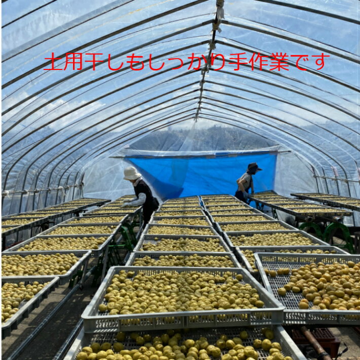 ��ǯ����120g ����̵��(�����ϰ�����) ������ �ۤ����� ���㤤�� ����� ����� ��Ϸ���� ����� ����äѤ� �Τʤ�����ߴ����δ��ߡ�̵ź�� ̵�忧 �� ���츩 ���Ҥ���Ź��� Ķ����äѤ�