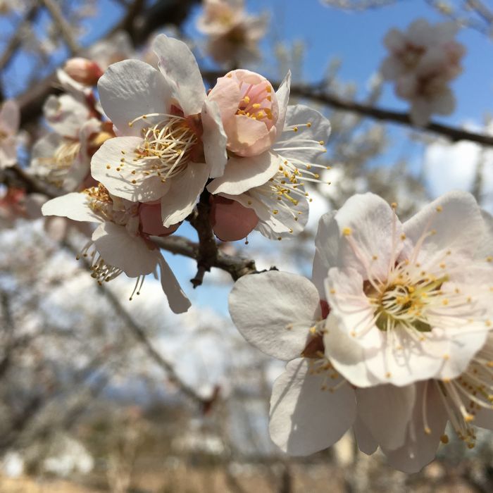 �ڥ��եȡ۱�ǯ�ߥ��ե�B £��ʪ ����� ����� ��Ϸ���� ����� ��ˤ� ���ˤ� ��ǯ������360g ��ǯ�����դ꤫��50g ��ǯ����40g ��ǯ����(��γ)30g �Τʤ�����ߴ��� �ߴ��� ̵ź��̵�忧 �� ����̵���ʰ����ϰ�����)