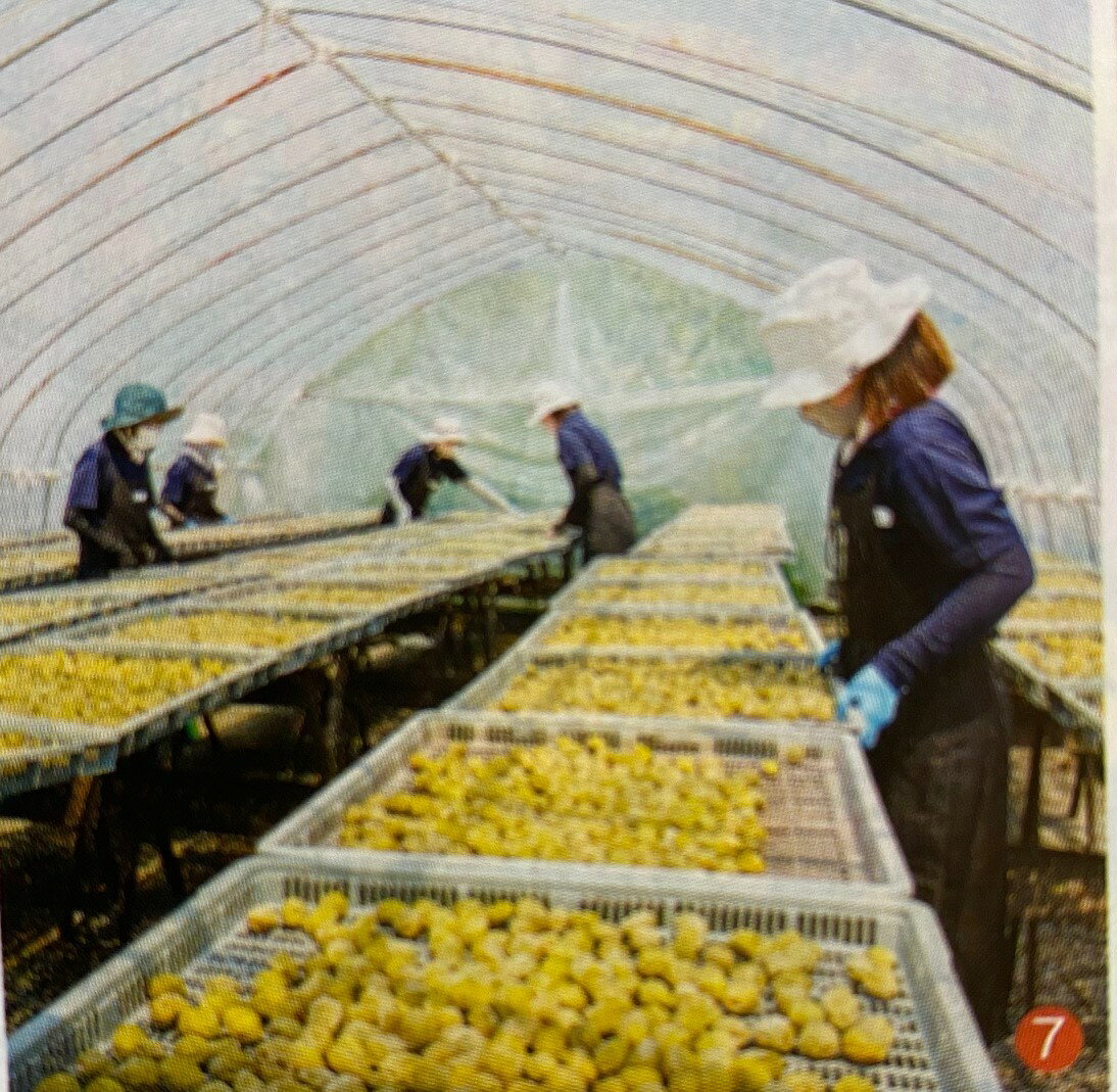 ��ǯ�����Ĥ֤��� 300g �� ̵ź�� ̵�忧 ����� ����� ��Ϸ���� ����� �����Ǥ� ���㤤�� ������ ����̵��(�����ϰ�����)