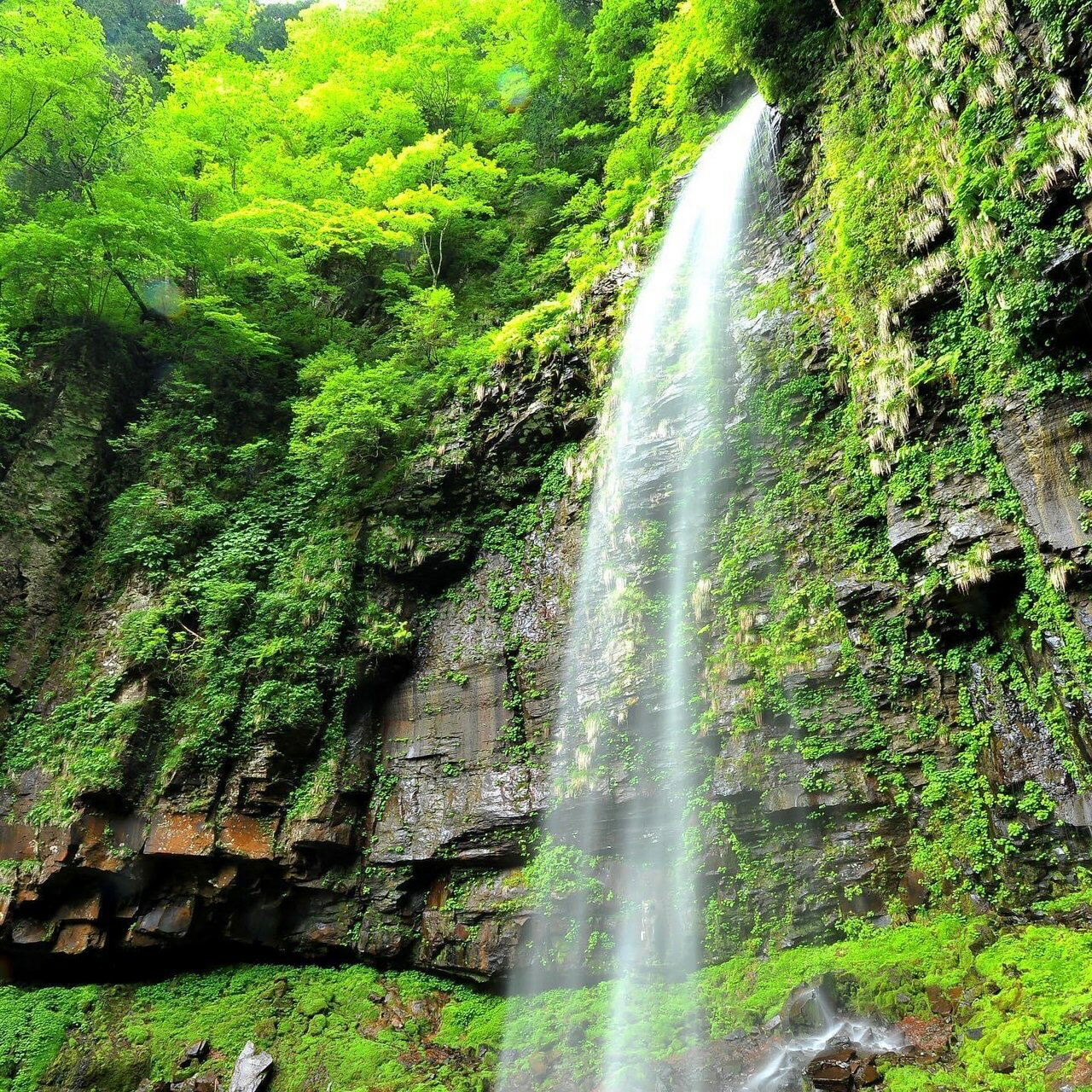 ��ǯ�����Ҥ���150g ����� ����� ��Ϸ���� ����� ������ҥץ��ʥ��塼�� �Τʤ�����ߴ��� ̵ź�� ̵�忧 �� ���츩 ���Ҥ���Ź���