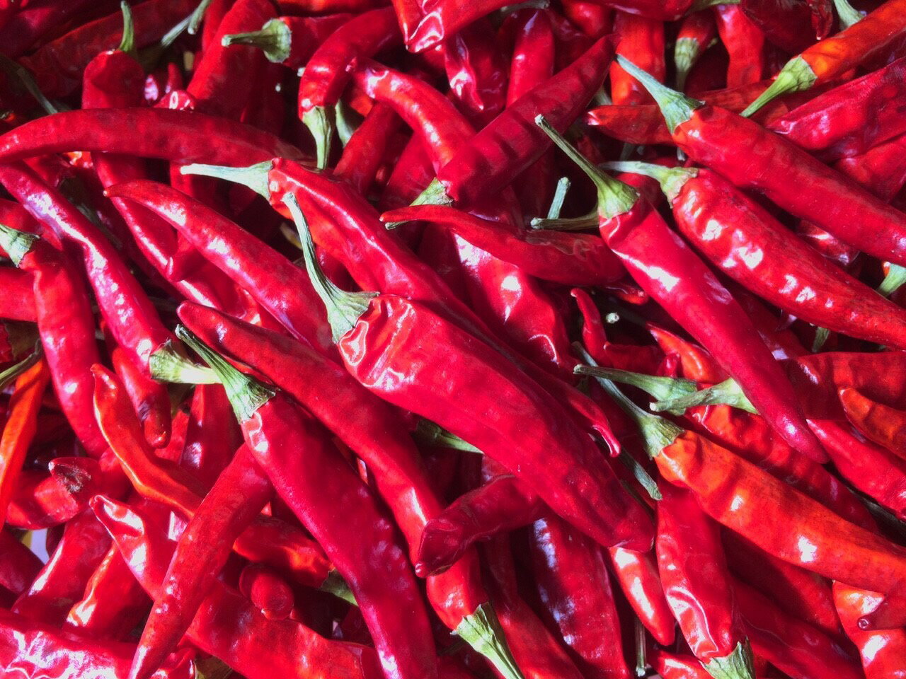 ����Ȥ����餷 18g 2�ޥѥå� ����ɻҡ� �� ���츩�� ����� ����ɻ� ����ɻ� ����Ȥ����餷 �ɤ� 1000�ߥݥå��� ̵ź��̵�忧 �Ȥ����餷 ����� ����� ��Ϸ���� ����� �����Ǥ� ���㤤�� ����̵��(�����ϰ�����)