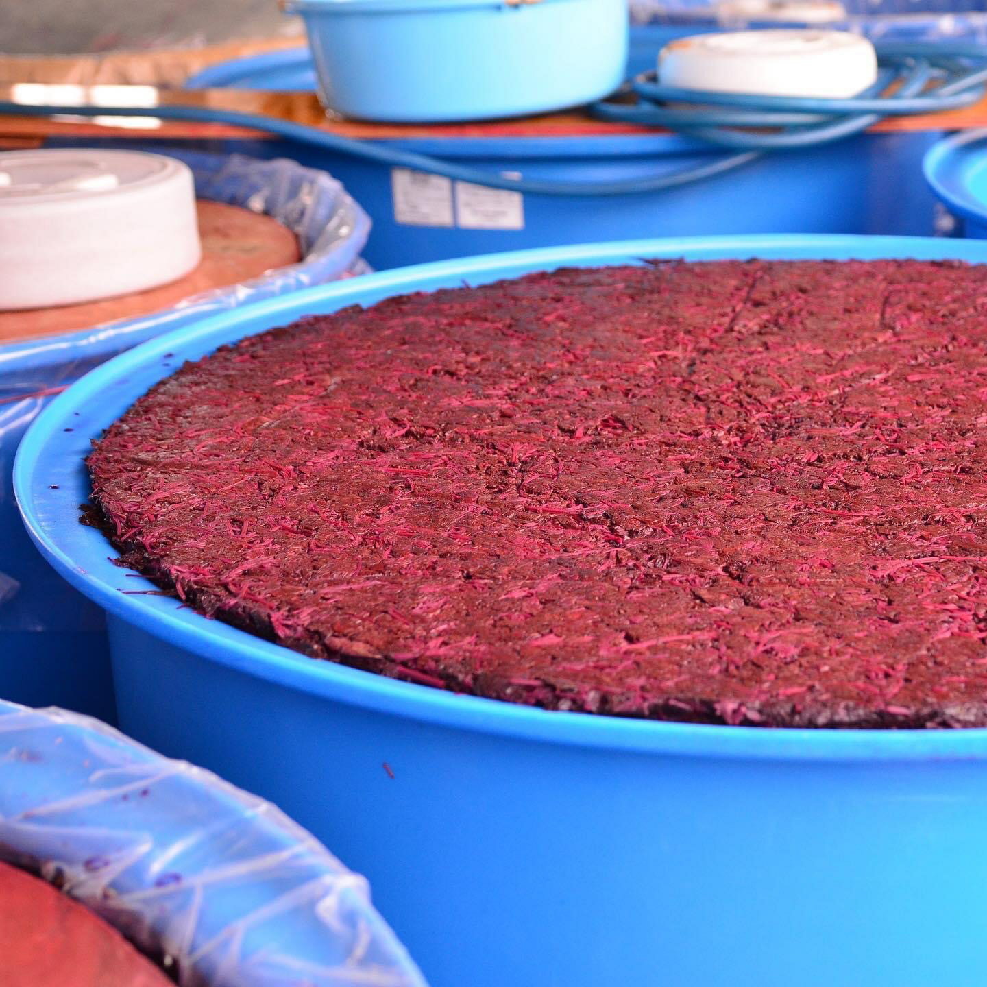 �ֻ��� 300g �Τʤ�����ߴ����Τ������� ̵ź�� ̵�忧 ����� ����� ��Ϸ���� ����� �����Ǥ� ���㤤�� ������ ����̵��(�����ϰ�����)