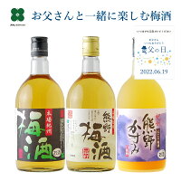 梅酒 プレゼント ギフト 【紀州の梅酒 3種 飲み比べ 720ml×3本】 お酒 贈り物 熊野かすみ 熊野梅酒 本場紀州梅酒 うめしゅ ウメシュ