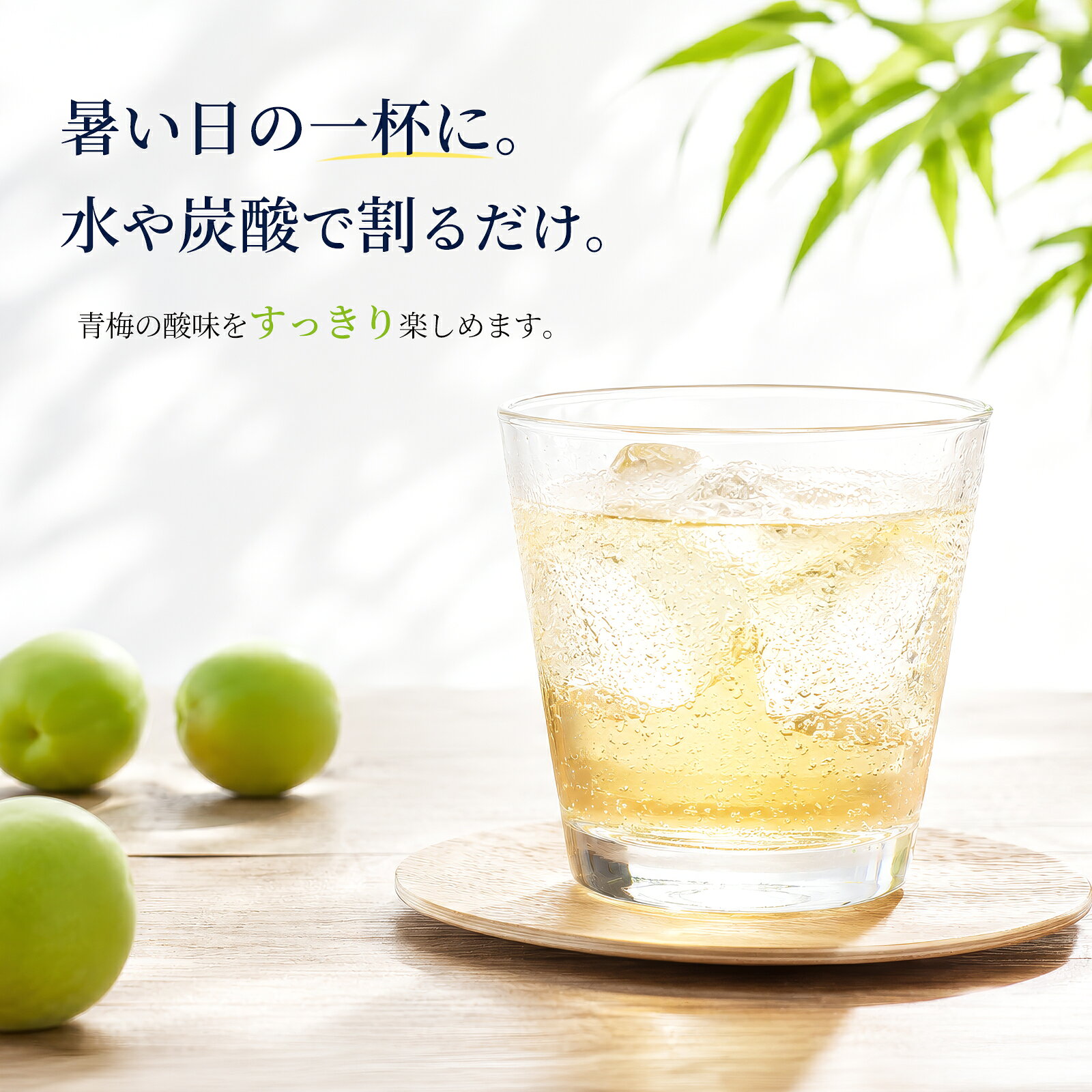 梅シロップ 梅ハニップ 590g 希釈用梅ドリンク 原液 水や炭酸で割る 梅ジュース 紀...