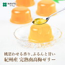 お中元 夏ギフト 梅ゼリー セット 紀州完熟南高梅ゼリー 和歌山産 手土産 お持たせ プレゼント 和スイーツ 常温保存