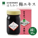 梅肉エキス はちみつ梅エキス 練 95g 黒糖入 国産 和歌山 紀州産 国内産青梅 プラム食品 送料無料（北海道・沖縄は送料825円）自社製造