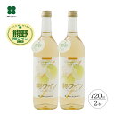 梅ワイン （白）母の日 プレゼント 720ml×2本 和歌山 プラム食品 送料無料 （北海道・沖縄は送料825円）