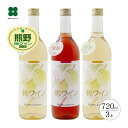 ワイン ギフト 梅ワイン 母の日 まだ間に合う プレゼント ギフト 【白・ロゼ 720ml×3本】 白2本・ロゼ1本 お酒 贈り物 和歌山 プラム食品 送料無料 （北海道・沖縄は送料825円）