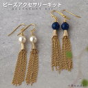 ビーズキット アクセサリーキット タッセルパール・ピアス ( イヤリング ) キット 手作りピアス(イヤリング )キット プレゼント ハンドメイド ビーズ ハン...