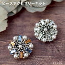 【P2倍中!】ビーズアクセサリーキット ヘキサゴン ( クリスタル ) ・ブローチキット ビーズ キット ビーズキット ブローチキット テグス編み ブローチ 手...