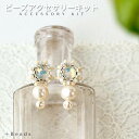 ビーズアクセサリー キット 大人 ティアーズパール・ピアス(ノンホールピアス)キット 手作り アクセサリーキット 手作り ピアス キット 淡水パール ホワイトオ...