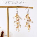 ビーズアクセサリー キット 大人 ビーズキット ピアス( イヤリング ) キット パールピアス 手作りキット スノーフォレスト ピアス ( イヤリング ) キッ...