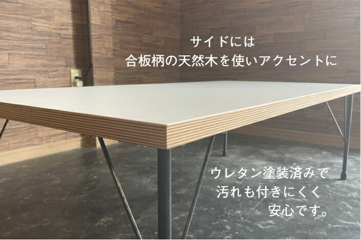 【新商品】メラミン テーブル ローテーブル アイアン 鉄脚 ホワイト 白 オーダーメイド 北欧 ヴィンテージ おしゃれ カフェ ハンドメイド [2]