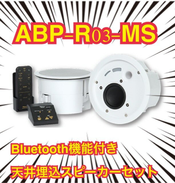 ABP-R03-MS Abaniact アバニア...の商品画像