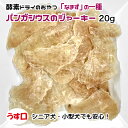 犬用・猫用 パンガシウスのジャーキー 約20g 酵素ドライ うす口【ゆうパケット・宅急便コンパクト対応・クール便同梱可能】犬 猫 手作りごはん