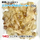 犬用・猫用 スケトウダラのジャーキー 約20g 酵素ドライ うす口【ゆうパケット・宅急便コンパクト対応・クール便同梱可能】犬 猫 手作りごはん