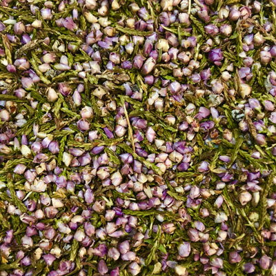 送料無料 エリカ ヒース(有機原料使用)【 Plus Herb ハーブティー 】オーガニックハーブティー オーガニック ハーブティ ブレンド ハーブ フラワーティー お茶 アルブチン ドライハーブ シングルハーブ 茶葉 女性 美容 おいしい 美味しい 健康茶 プレゼント 贈り物