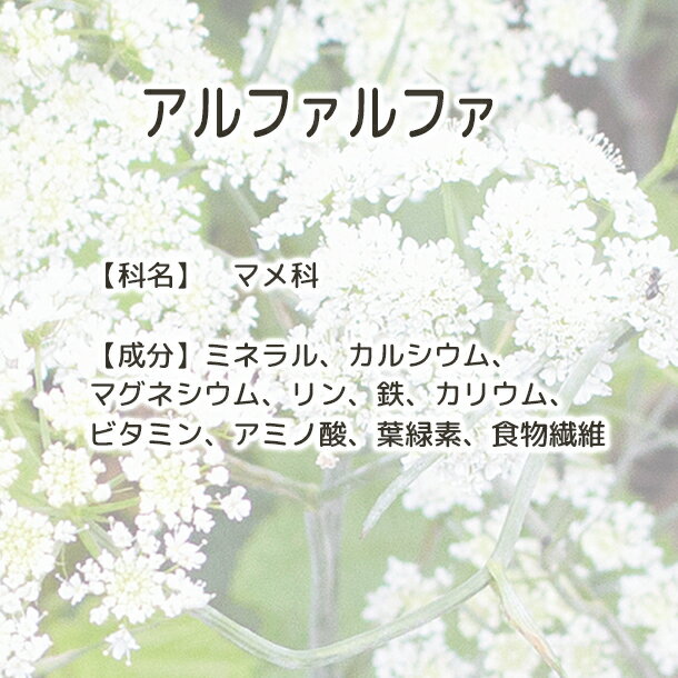 送料無料 アルファルファ 【Plus Herb...の紹介画像3
