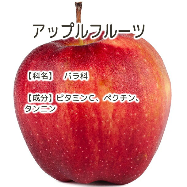 送料無料 アップルフルーツ 【Plus Her...の紹介画像3