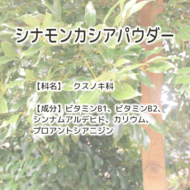 送料無料 シナモンカシア(パウダー) 【Plu...の紹介画像3