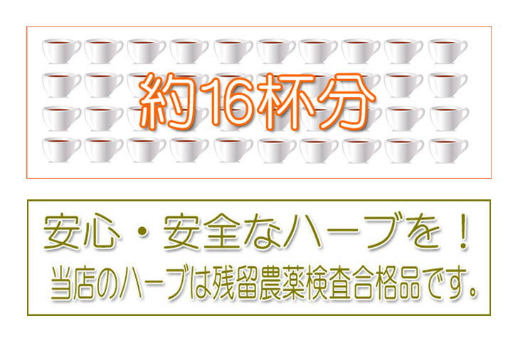6.妥協しない方のビューティティー　送料無料【Plus Herb ハーブティー】