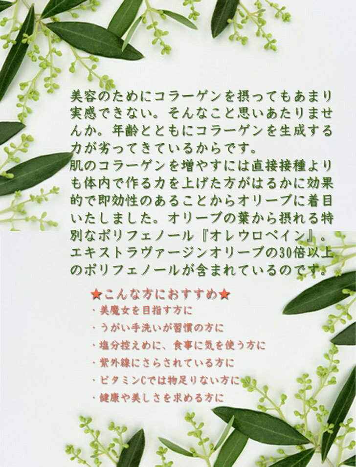 10.���ƥϡ��֥ƥ��������� ��Plus Herb �ϡ��֥ƥ��� �� �ϡ��֥ƥ� �������ҥå� ���꡼�� �ϥ��ӥ����� ��������å� ���ꥫ ����ޡ��ȥ� �֥��ɥƥ��� �Υ󥫥��꡼ �����꡼���� �إ륷�� ���� ̵ź�� ���� ���� ���� �ݥ�ե��Ρ��� �򹯻ָ� £��ʪ ����̵��