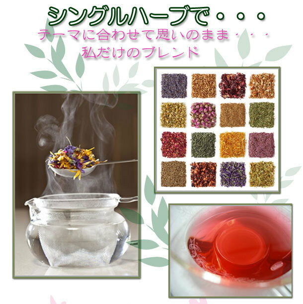 リンデンとは その特徴や人気ハーブの効果 効能まで解説 暮らし の