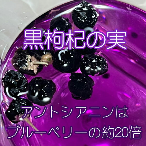 黒枸杞の実 ブラックゴジベリー 送料無料【 P...の紹介画像2
