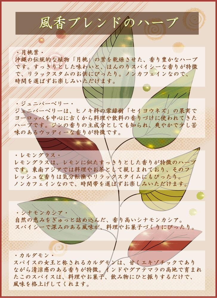 プラスハーブ 楽天市場店の12.月桃葉の風香ブレンド　送料無料【PlusHerbハーブティー】月桃葉 シナモン ジュニパーベリー レモングラス カルダモン 温活 寝る前 美容 大人 お茶｜アングル2