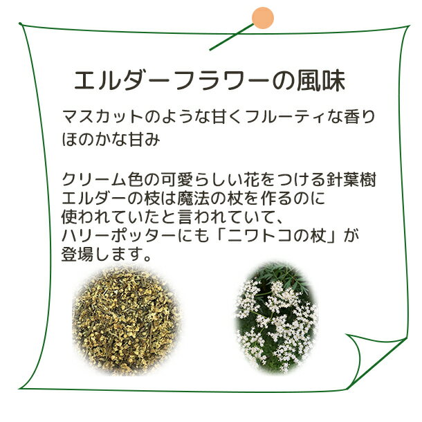 送料無料 エルダーフラワー 【 Plus He...の紹介画像2