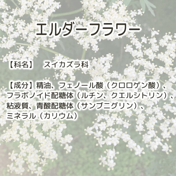 ����̵�� ��������ե� �� Plus Herb �ϡ��֥ƥ��� �ۥϡ��֥ƥ� ���� ���� ��������ե��ƥ��� ���󥰥�ϡ��� ����ϡ��� �ɥ饤�ϡ��� �ե� �ƥ��� �֥��ɥƥ��� �ۡ��륿���� �ƥ��������� �ӥ��ߥ�C ���Υ˥�ȥ� ���� �य�� �� ���� ȩ�Ӥ�