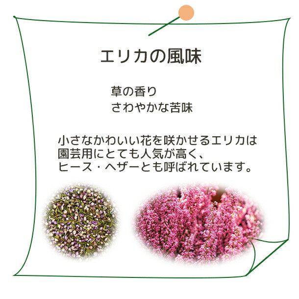 送料無料 エリカ ヒース(有機原料使用)【 P...の紹介画像2