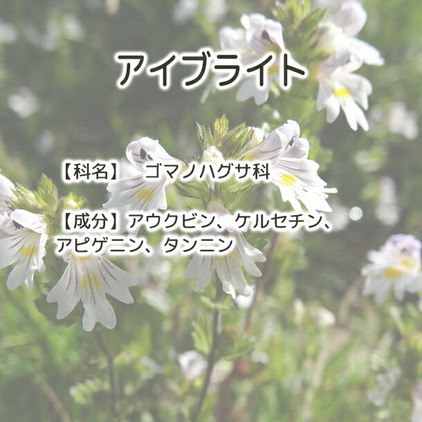 ����̵�� �����֥饤�� �� Plus Herb �ϡ��֥ƥ��� �ۥϡ��֥ƥ� ���� ���륻���� ���� ���� �ϡ��� ���� ���󥰥�ϡ��� ����ϡ��� �ϡ����� ���ߤ䤹�� �ܤ���� �������� �ܤΥ��� �ܤˤ����ɥ�� �ǥ������ ���ե������ �����ᥰ�� �� ��ե�å���