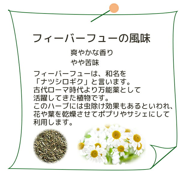 送料無料 フィーバーフュー 【Plus Her...の紹介画像2