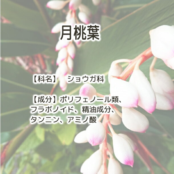送料無料 月桃葉 【 PlusHerb ハーブ...の紹介画像3