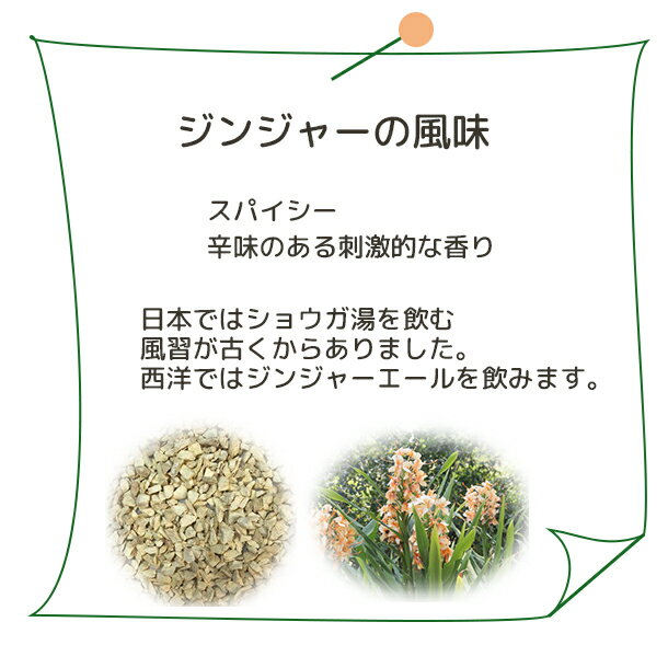 ジンジャー 【Plus Herb ハーブティー...の紹介画像3