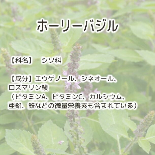 ����̵�� �ۡ��꡼�Х��� �ȥ��롼����Plus Herb �ϡ��֥ƥ��� ͭ���������ѥۡ��꡼�Х���ƥ��� �ȥ��륷�� �Х����� �����ץȥ��� �Υ󥫥ե����� �������˥å� �ϡ��֥ƥ� �֥��� �ƥ��� ���󥰥�ϡ��֥ƥ��� ���ѥ����� ͭ���� �䤨�к� ������ ���