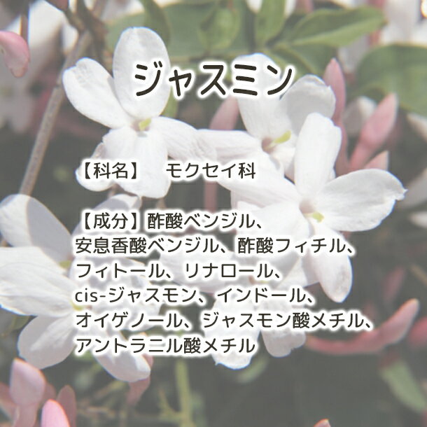 ジャスミン 【Plus Herb ハーブティー...の紹介画像3