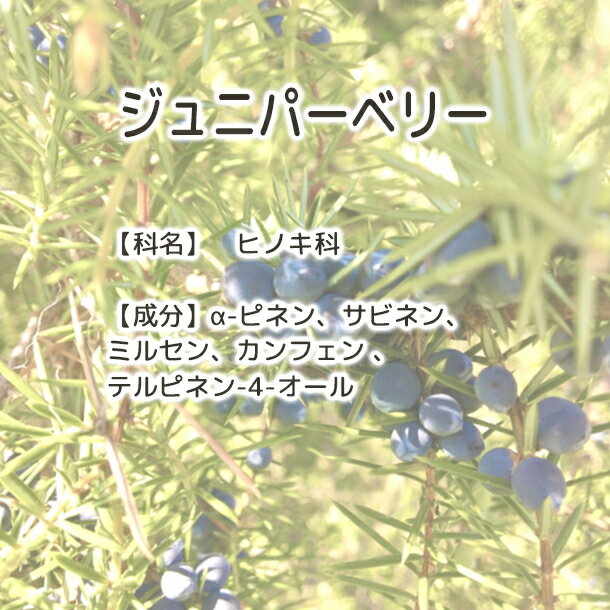 送料無料 ジュニパーベリー 【 Plus He...の紹介画像3