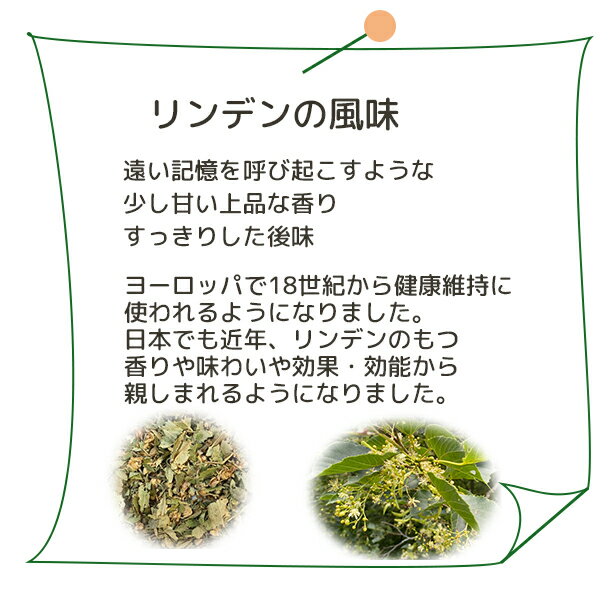 送料無料 リンデン 西洋菩提樹【 Plus H...の紹介画像2