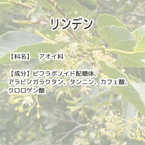 ����̵�� ���ǥ� ����������� Plus Herb �ϡ��֥ƥ��� �ۥϡ��֥ƥ� �������˰���Ȥ��� �ϡ��� ���å��� ���� ���å����ƥ��� �ʥ��ȥƥ��� ���ǥ�ƥ��� ���ǥ�ե� ���ǥ�ϡ��֥ƥ��� ���� �ɥ饤�ϡ��� �� ������ ������ ����ʪ �ɥ�� ���